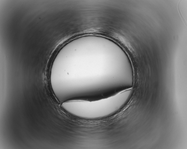 X0000093161308200710171202