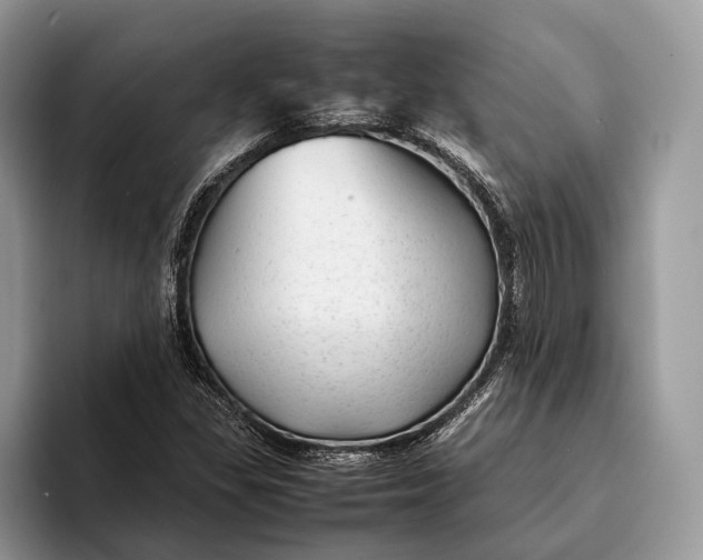 X0000093161309200710171202