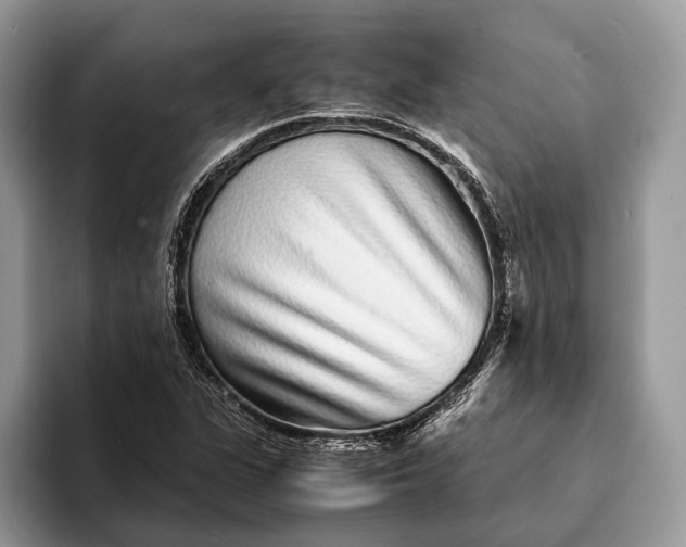 X0000093161311200710171202