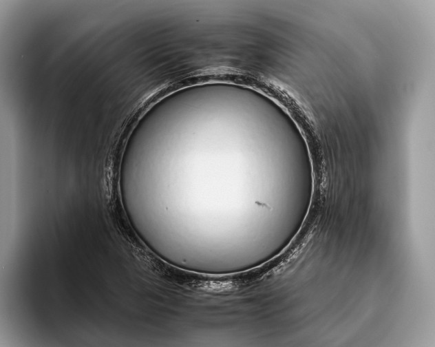 X0000093161313200710171202