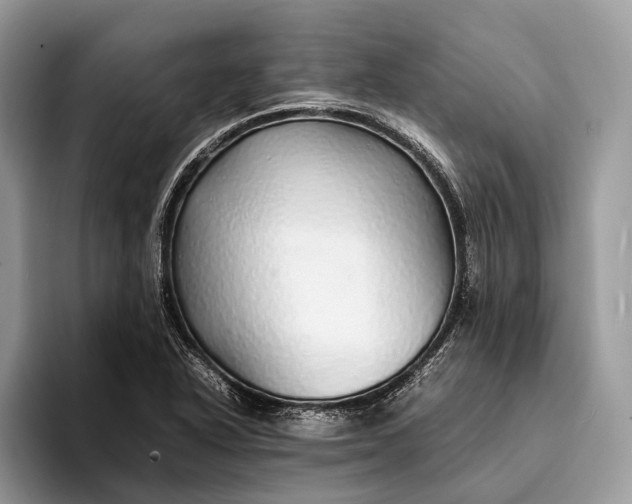 X0000093161318200710171202