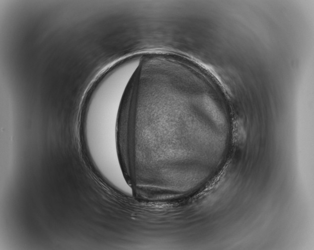 X0000093161319200710171202