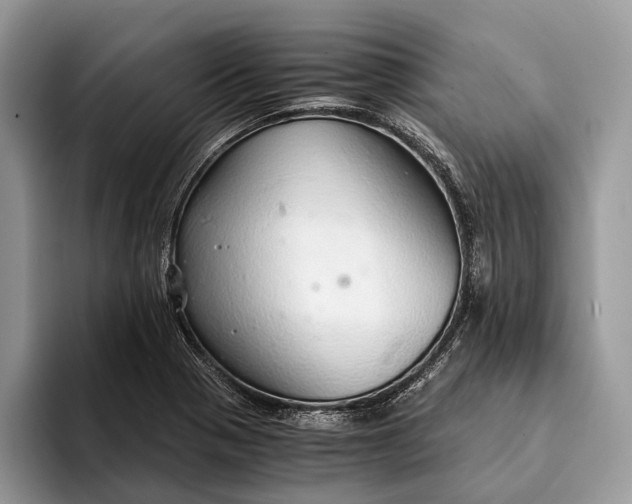 X0000093161321200710171202