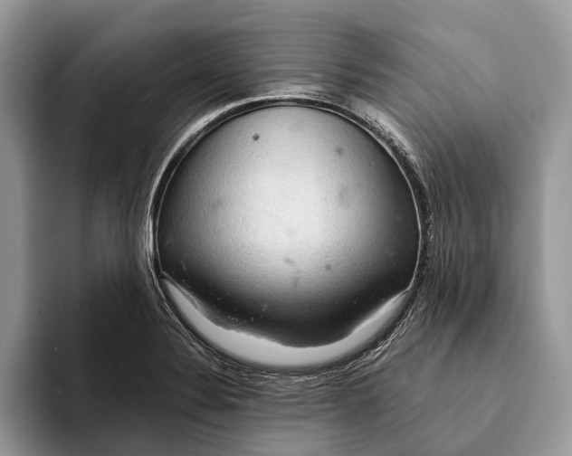 X0000093161324200710171202