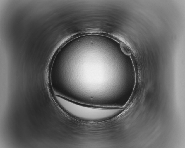 X0000093161325200710171202