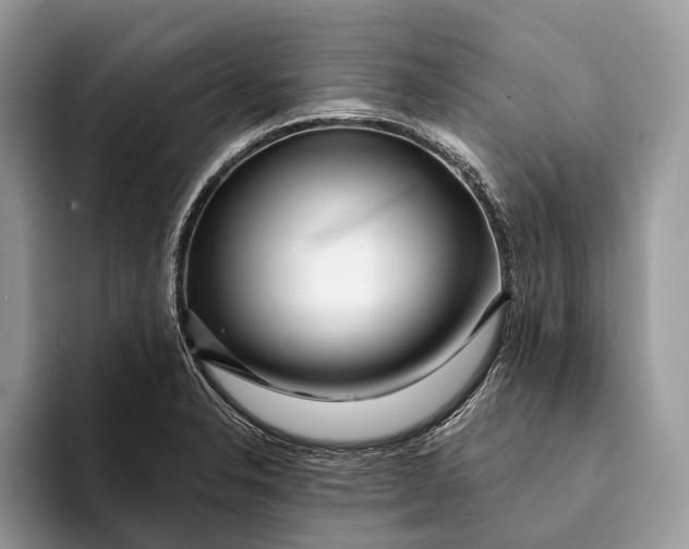 X0000093161326200710171203