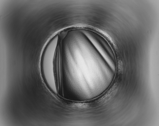 X0000093161327200710171203