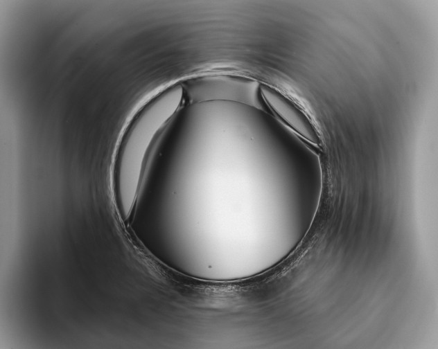 X0000093161328200710171203