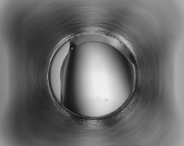 X0000093161330200710171203