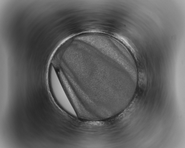 X0000093161331200710171203