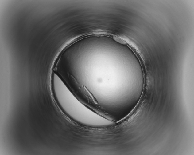 X0000093161333200710171203
