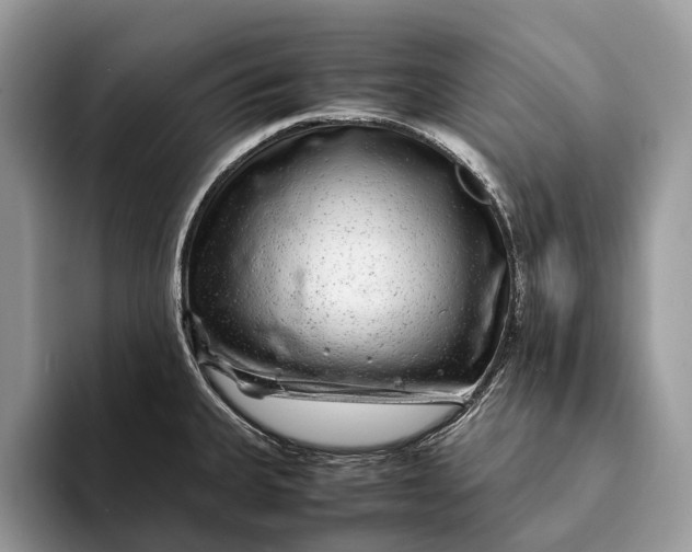 X0000093161335200710171203