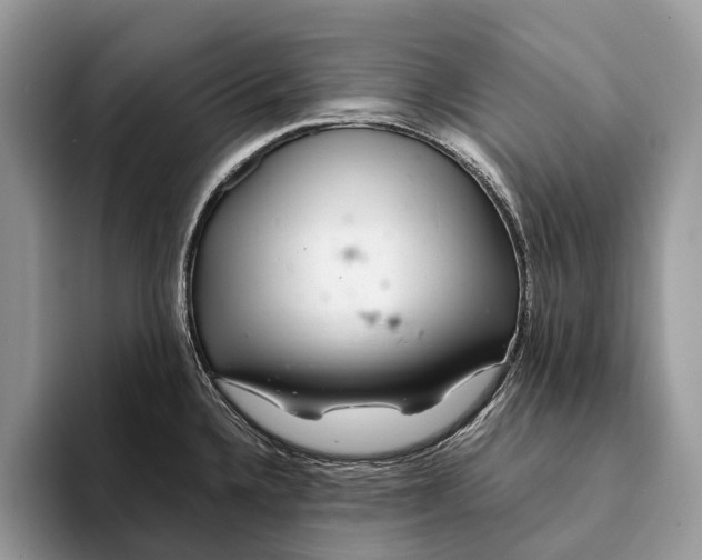 X0000093161336200710171203
