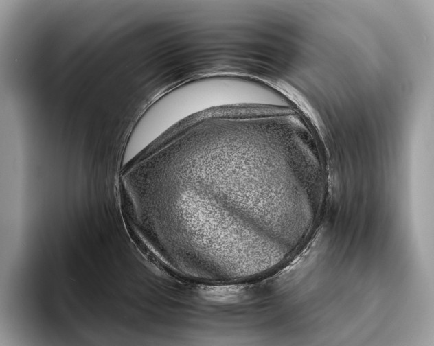 X0000093161337200710171203