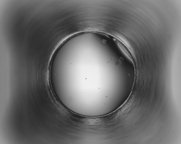 X0000093161340200710171203