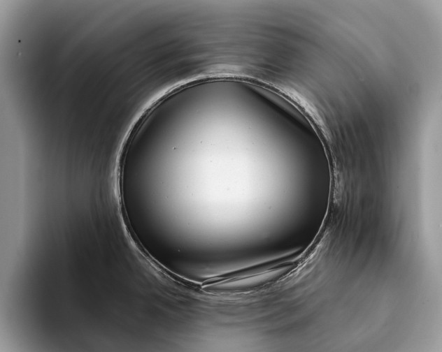 X0000093161342200710171203