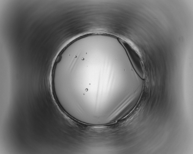 X0000093161343200710171203