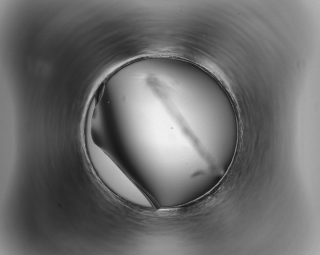 X0000093161344200710171203