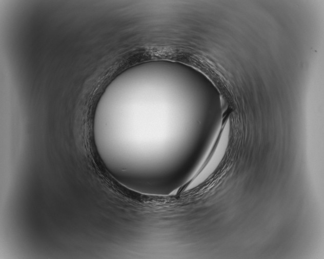 X0000093161345200710171202