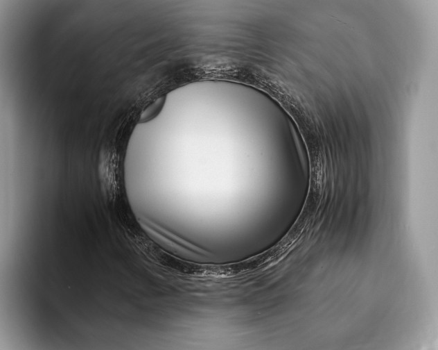X0000093161346200710171202