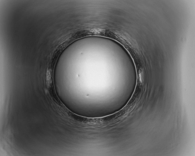 X0000093161347200710171202