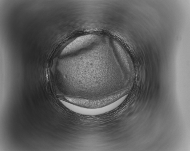 X0000093161348200710171202