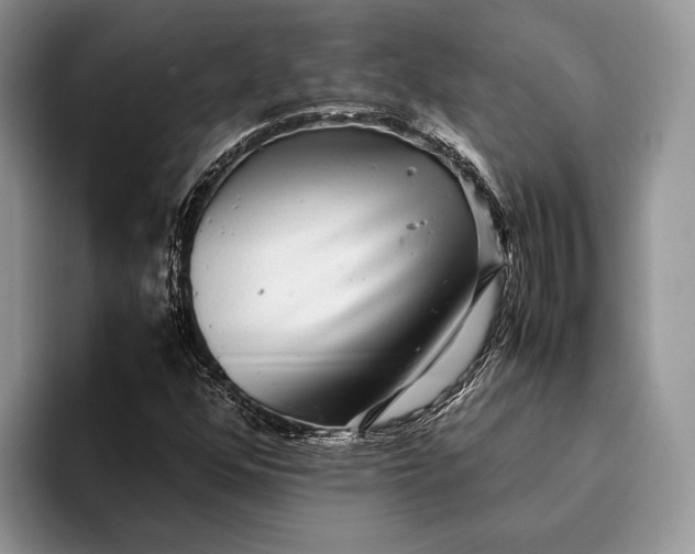 X0000093161352200710171202