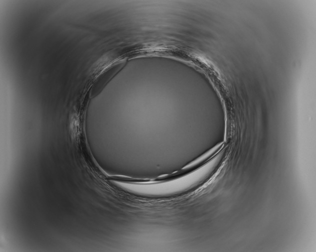 X0000093161353200710171202