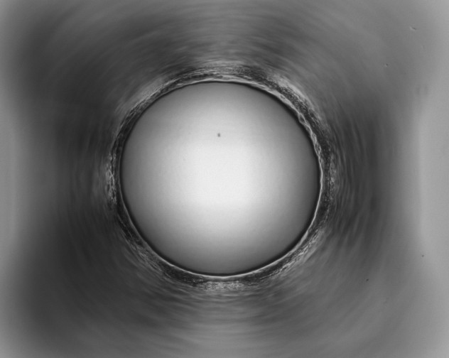 X0000093161354200710171202