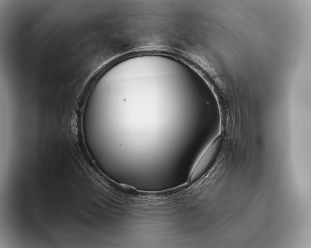 X0000093161356200710171202