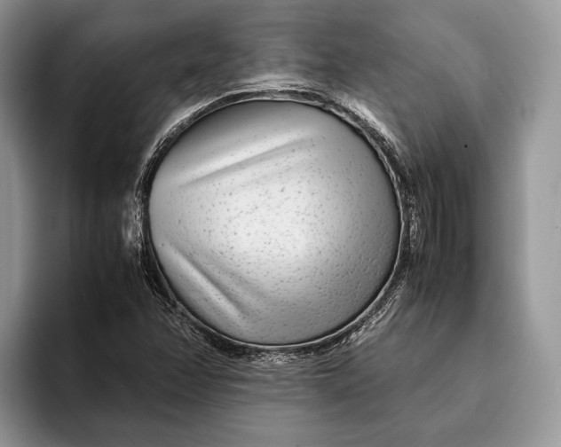 X0000093161358200710171202