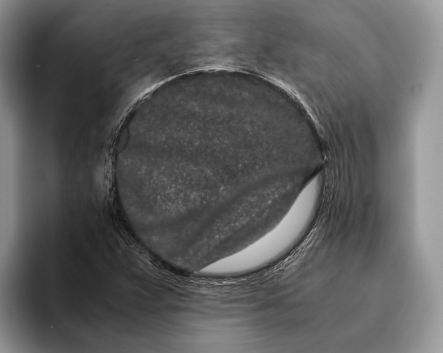 X0000093161359200710171202