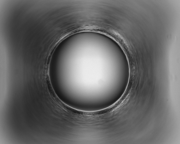 X0000093161361200710171202