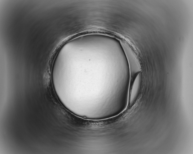 X0000093161363200710171202