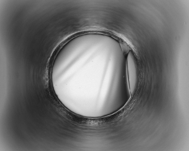 X0000093161364200710171202