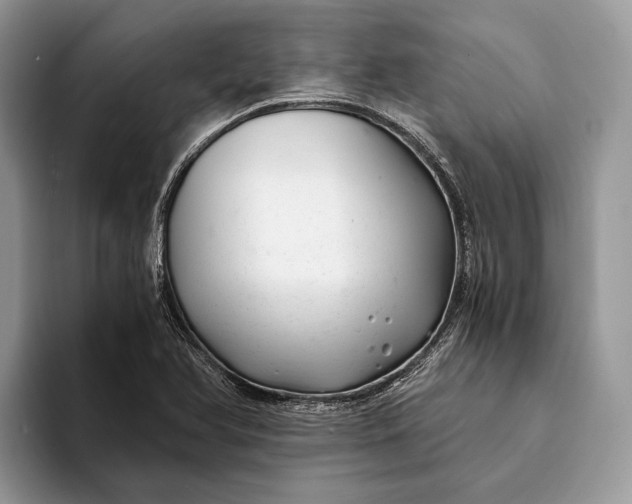 X0000093161366200710171202