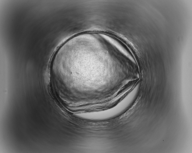 X0000093161367200710171202