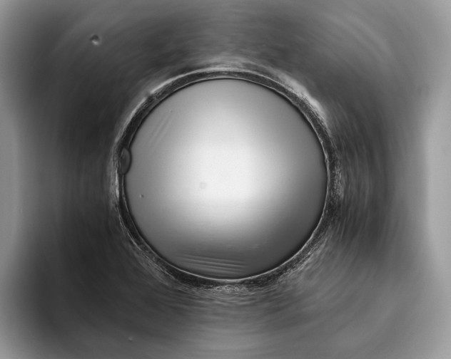 X0000093161368200710171202