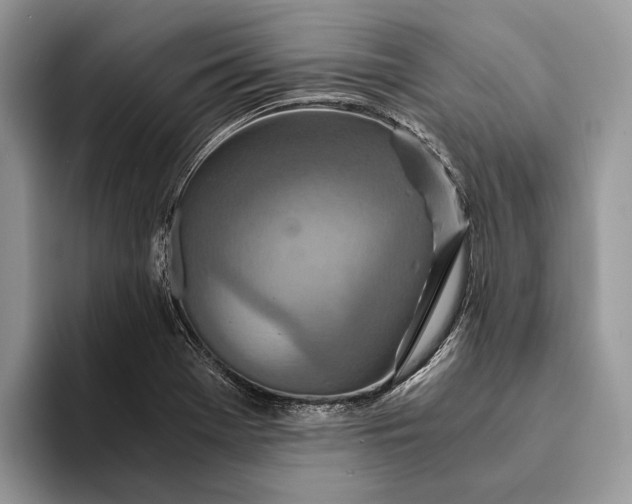 X0000093161369200710171202