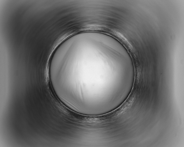 X0000093161370200710171202
