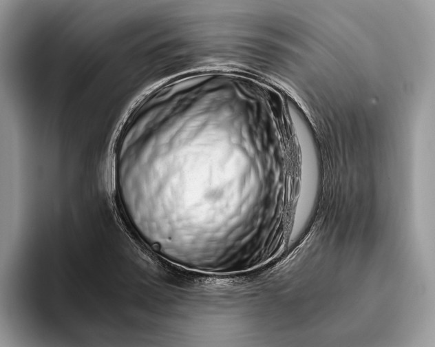 X0000093161371200710171202