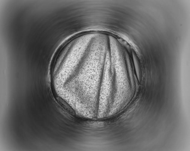 X0000093161372200710171202
