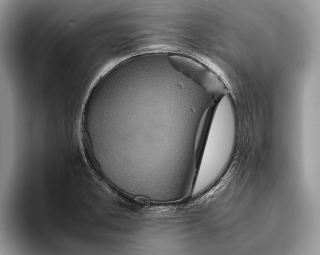 X0000093161373200710171202