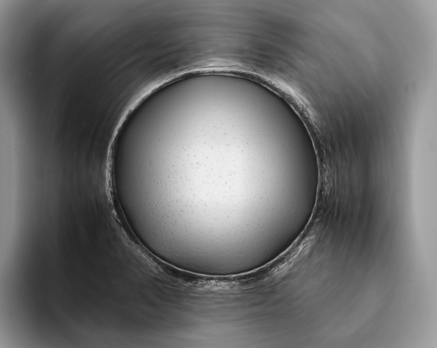 X0000093161374200710171202