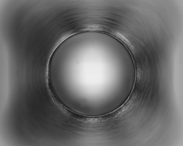 X0000093161378200710171202