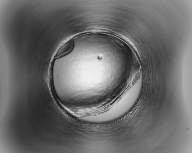 X0000093161379200710171202