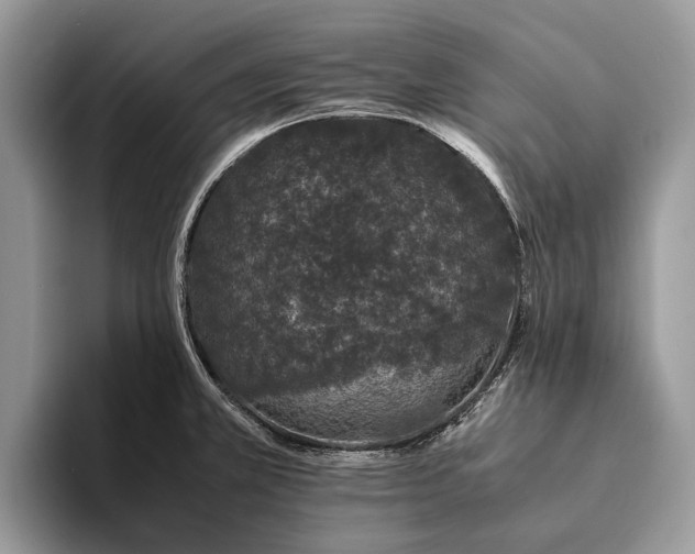 X0000093161381200710171202