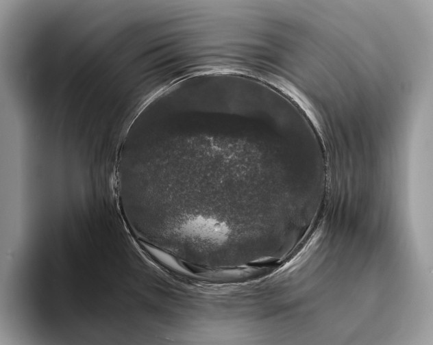 X0000093161385200710171202