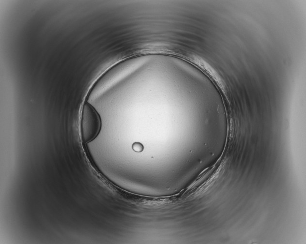X0000093161386200710171202