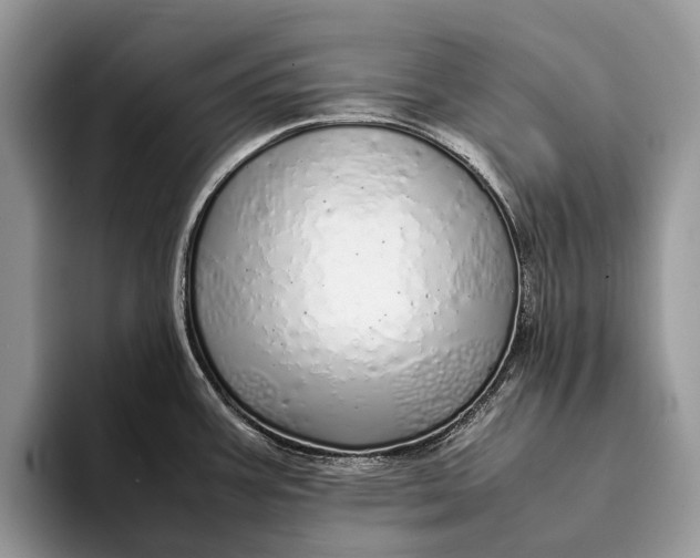 X0000093161387200710171202